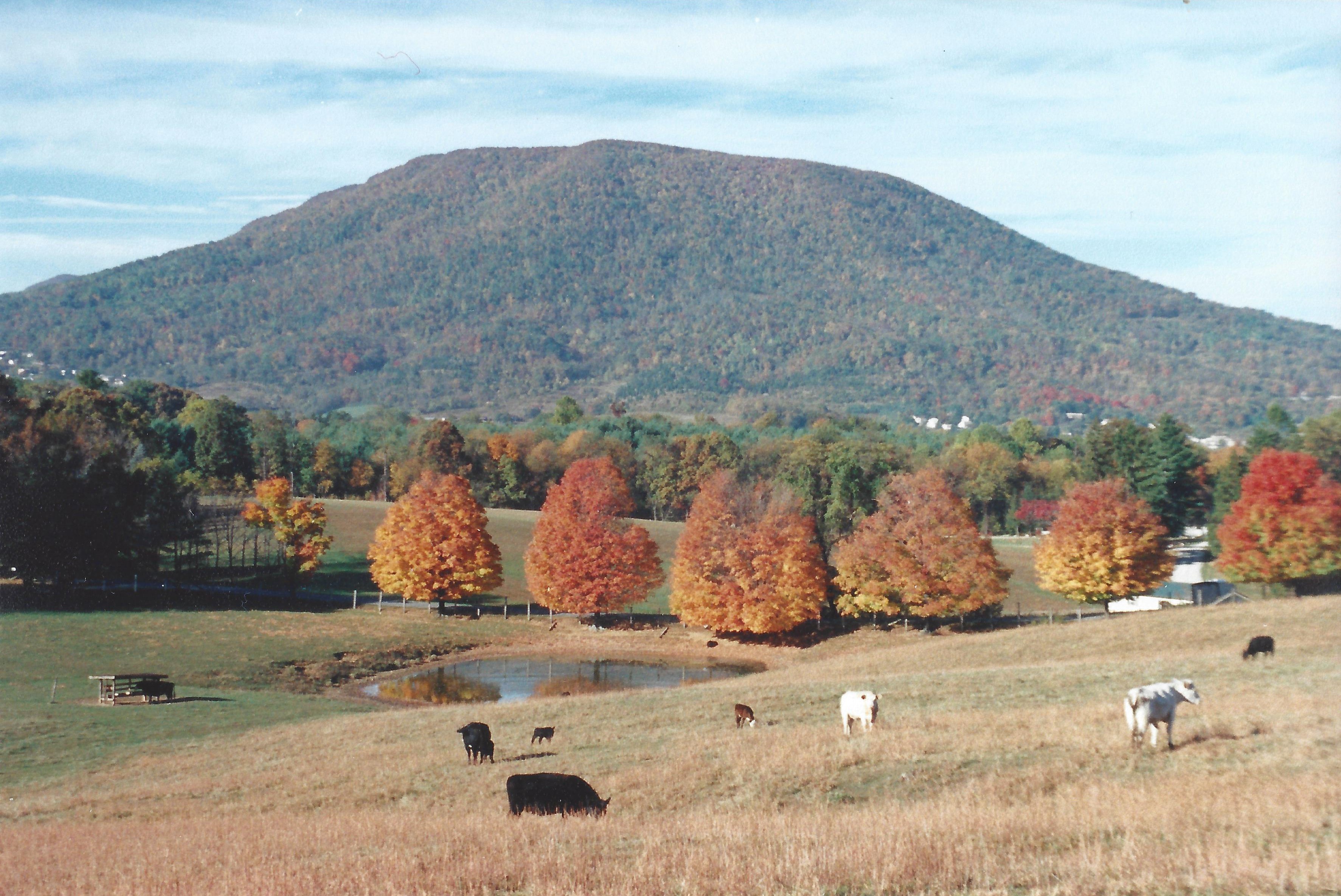 Angels Rest, Giles County Angels Rest above autumn trees and pasture in Giles County, Virginia